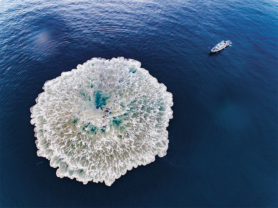 军营观察丨走出实验室